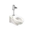2257101.020 Elongated Toilet Bowl Only, in White