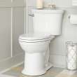 Two-Piece 1.28 GPF Elongated Toilet Without Seat - In Multiple Colors