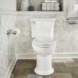 Two-Piece 1.28 GPF Elongated Toilet Without Seat - In Multiple Colors