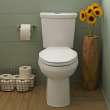 H2Option Dual Flush Right Height Elongated 2-Piece Toilet 0.92/1.28 Gpf, in White
