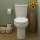 H2Option Dual Flush Right Height Elongated 2-Piece Toilet 0.92/1.28 Gpf, in White