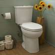Dual Flush 0.92/1.28 gpf Elongated Right Height Two-Piece Toilet with 12-in Rough-In in White