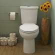 Dual Flush 0.92/1.28 gpf Elongated Right Height Two-Piece Toilet with 12-in Rough-In in White