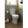 H2Option Dual Flush Elongated 0.92/1.28 Gpf 2-Piece Toilet