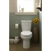 H2Option Dual Flush Right Height Elongated 0.92/1.28 Gpf 2-Piece Toilet - Lined Tank, in Bone