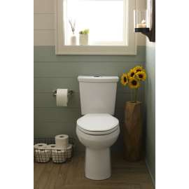 H2Option Dual Flush Right Height Elongated 0.92/1.28 Gpf 2-Piece Toilet - Lined Tank, in Bone