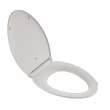 Elongated Toilet Seat - In Multiple Colors