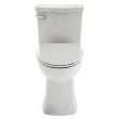 Right Height Elongated One-Piece Toilet with Seat, in White