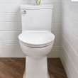 Right Height Elongated One-Piece Toilet with Seat, in White