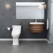 Right Height Elongated One-Piece Toilet with Seat, in White