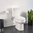 Elongated 1.28 GPF Toilet Less Seat - In Multiple Configurations