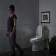 Advanced Clean(R) 2.5 Electric SpaLet(R) Bidet Seat With Remote Operation, 8012A60GRC-020
