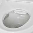Advanced Clean(R) 3.0 Electric SpaLet(R) Bidet Seat With Remote Operation, 8018A60GRC-020