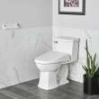 Advanced Clean(R) 3.0 Electric SpaLet(R) Bidet Seat With Remote Operation, 8018A60GRC-020
