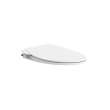 AquaWash(R) Essentials Non-Electric SpaLet(R) Bidet Seat With Manual Operation, 8043A60G.020