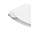 AquaWash(R) Essentials Non-Electric SpaLet(R) Bidet Seat With Manual Operation, 8043A60G.020