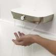Aspirations Diverting Waterfall Tub Spout, 8888116.295