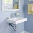 Decorum(R) Wall-Hung EverClean(R) Sink With Center Hole Only, 9024001EC.020