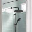 Spectra(R) Rain 11-Inch 1.8 gpm/6.8 L/min Water-Saving Rain Showerhead, 9038001.243