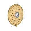 Spectra Fixed 7-Inch 1.8 gpm/6.8 L/min Fixed Showerhead, 9038074.GN0