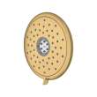 Spectra Fixed 7-Inch 1.8 gpm/6.8 L/min Fixed Showerhead, 9038074.GN0