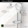 Spectra(R) Handheld 1.8 gpm/6.8 L/min 5-Inch 4-Function Hand Shower, 9038154.013