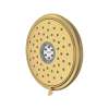 Spectra(R) Fixed Traditional 7-1/4-Inch 1.8 gpm/6.8 L/min Water-Saving Fixed Showerhead, 9138073.GN0