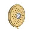Spectra(R) Fixed Traditional 7-1/4-Inch 1.8 gpm/6.8 L/min Water-Saving Fixed Showerhead, 9138073.GN0