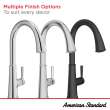 Renate Single-Handle Pull-Down Dual Spray Kitchen Faucet 1.5 gpm/5.7 Lpm, 9319310.002