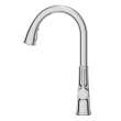 Renate Single-Handle Pull-Down Dual Spray Kitchen Faucet 1.5 gpm/5.7 Lpm, 9319310.002