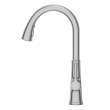 Renate Single-Handle Pull-Down Dual Spray Kitchen Faucet 1.5 gpm/5.7 Lpm, 9319310.075