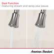 Ellis Pull Down Kitchen Faucet, 9391321.243