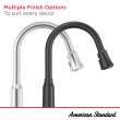 Ellis Pull Down Kitchen Faucet, 9391321.243