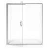 60 x 76-Inch Height Semi-Frameless Swing Door With Panel, AM00816400.213