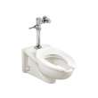 2859111.020 Afwall 1.1 gpf and 4.2 Lpf Wall-Hung Toilet System with Manual Piston Flush Valve, White