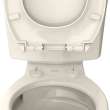 5055A65PT.222 Seats Contemporary Slow Close and Easy Lift Off Elongated Toilet Seat, Linen 