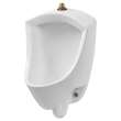 6002001USMCA.020 Pintbrook 0.125 - 0.5 gpf 0.47 - 1.9 Lpf Top Spud Urinal, Made in Mexico, White 