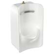 6516002EC.020 Greenbrook 0.125 - 0.5 gpf 0.47 - 1.9 Lpf Top Spud Urinal with EverClean, White 