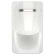 6517001EC.020 Glenbrook 0.125 - 0.5 gpf 0.47 - 1.9 Lpf Back Spud Urinal with EverClean, White 