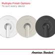 Aspirations Pressure Balance Valve Trim With Double Ceramic Pressure Balance Cartridge and Lever Handle, TU061500.295