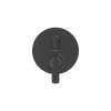 Aspirations 2-Handle 2 or 3 Way Shower Diverter Trim with Discrete Cartridge, TU061740.243
