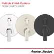 Aspirations 2-Handle 2 or 3 Way Shower Diverter Trim with Discrete Cartridge, TU061740.295