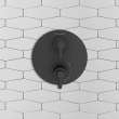 Studio(R) S 2-Handle Integrated Shower Diverter Trim Only, TU105740.243