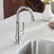 Delancey® Single-Handle Pull-Down Bar Faucet 1.5 Gpm/5.7 L/Min, 4279410.002