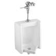 Ultima Manual Urinal Flush Valve, Diaphragm-Type, 0.125 Gpf/0.5 Lpf, 6145013.002