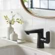 Aspirations Single-Handle Pull-Out Bathroom Faucet 1.2 Gpm/4.5 L/Min With Lever Handle, 7061121.243