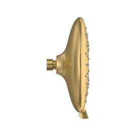 Spectra Fixed 7-Inch 1.8 Gpm/6.8 L/Min Fixed Showerhead, 9038074.Gn0