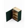 9-in x 12-in x 30-in Ready To Assemble Shaker Single Door Wall Cabinet, Green, W0930-RTA-FR01-GR