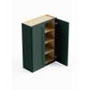 36-in x 12-in x 42-in Ready To Assemble Shaker Double Door Wall Cabinet, Green, W3642-RTA-FR01-GR