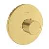 Axor Starck Thermostatic Trim Highflow In Brushed Gold Optic, 10715251
